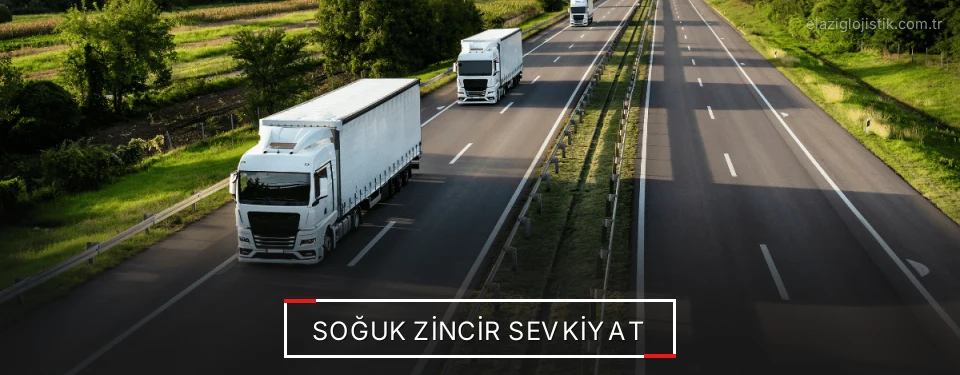 Elazığ Frigo Taşımacılık Firmaları